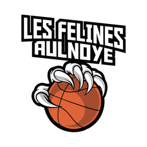 Logo Aulnoye AS